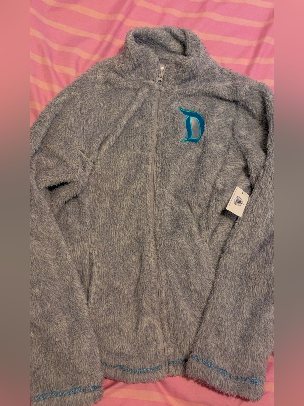 Disneyland sweater